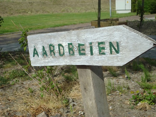 Aardbeien