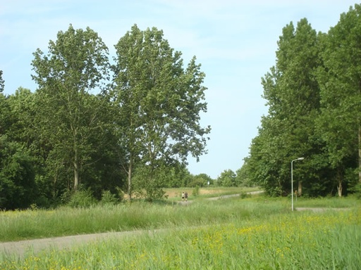 Omgeving