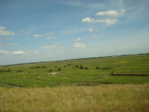 Omgeving