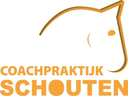 Coachpraktijk Schouten
