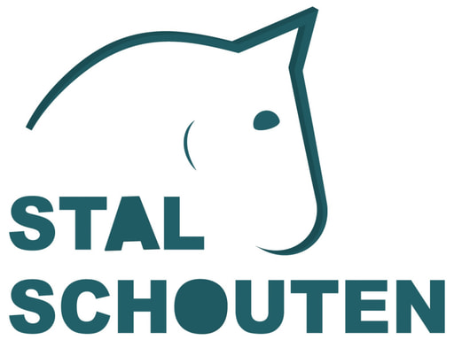 Stal Schouten